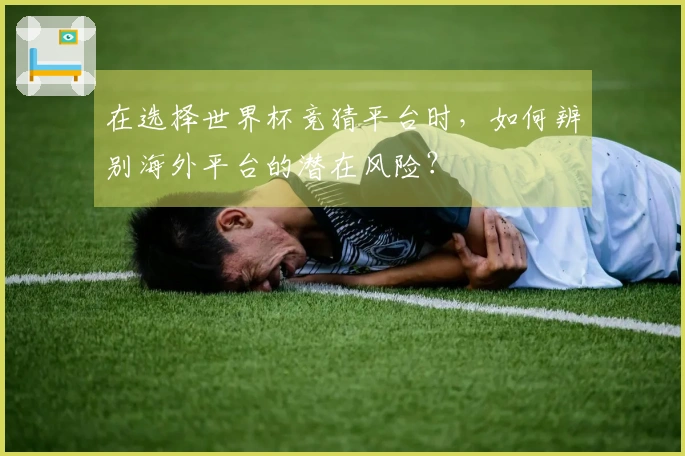 在选择世界杯竞猜平台时，如何辨别海外平台的潜在风险？