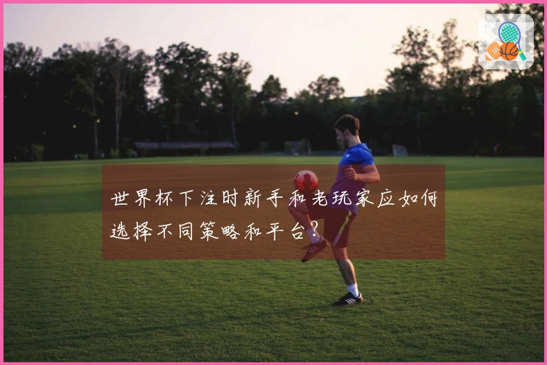 世界杯下注时新手和老玩家应如何选择不同策略和平台？
