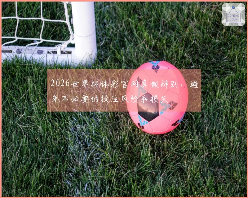 2026世界杯体彩官网真假辨别，避免不必要的投注风险和损失