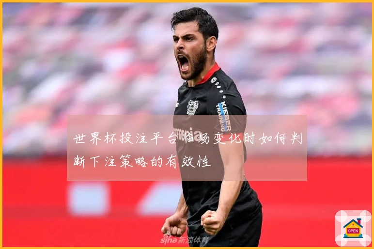 世界杯投注平台临场变化时如何判断下注策略的有效性