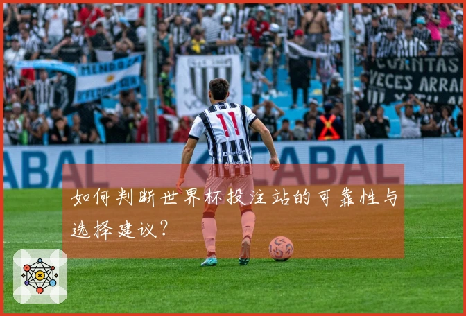 如何判断世界杯投注站的可靠性与选择建议?